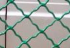 Beautiful Grid Wire Mesh